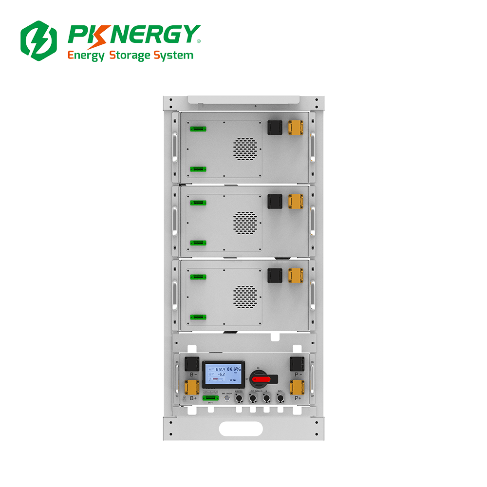 3baterías+1PCS - PKNERGY