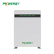 PKNERGY 51.2V Smart LiFePO₄ Wall Battery (5–15kWh) for Home & Business